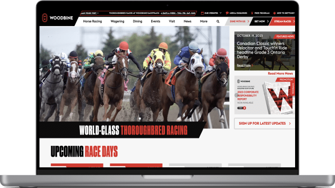 Idea Theorem™ _work_Woodbine