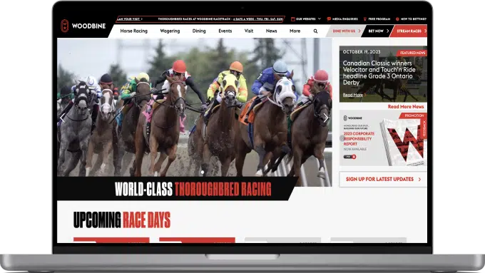 Idea Theorem™ _work_Woodbine